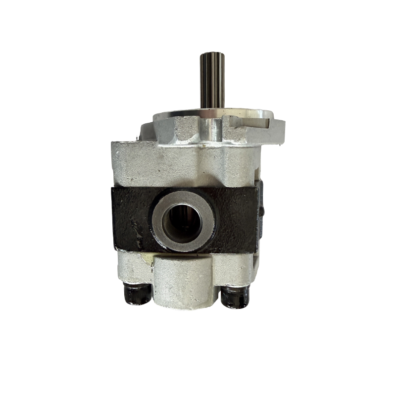 CBNA-F20 Gear Pump