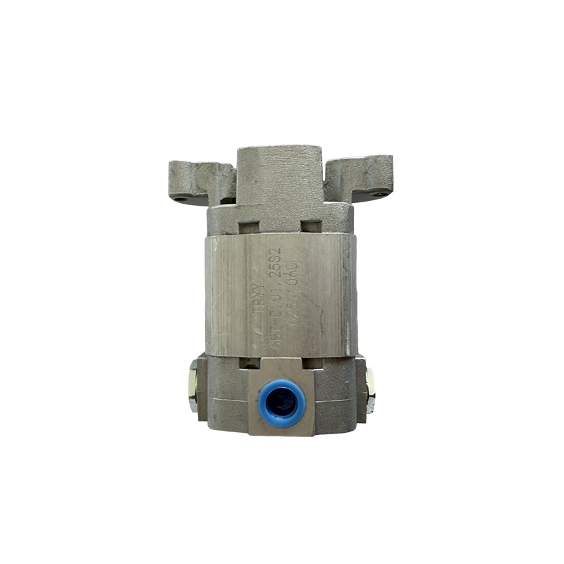 CBT-E101.25S2 Gear Pump